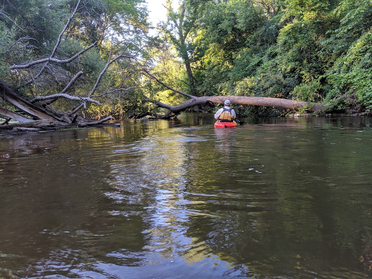 minnesota river trips